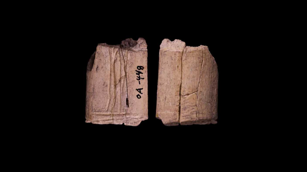 Ζάρια 12.000 ετών στη Βόρεια Αμερική ξαναγράφουν την ιστορία του τζόγου