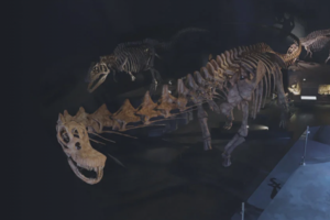 Σπουδαία παλαιοντολογική ανακάλυψη: Βρέθηκε γίγαντας δεινόσαυρος 20 μέτρων στην Παταγονία