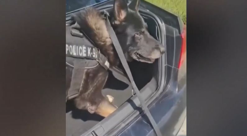 Θεσσαλονίκη: Ο «Ακύλας» ξετρύπωσε πάνω από 1 κιλό κοκαΐνης σε πορτ μπαγκάζ αυτοκινήτου