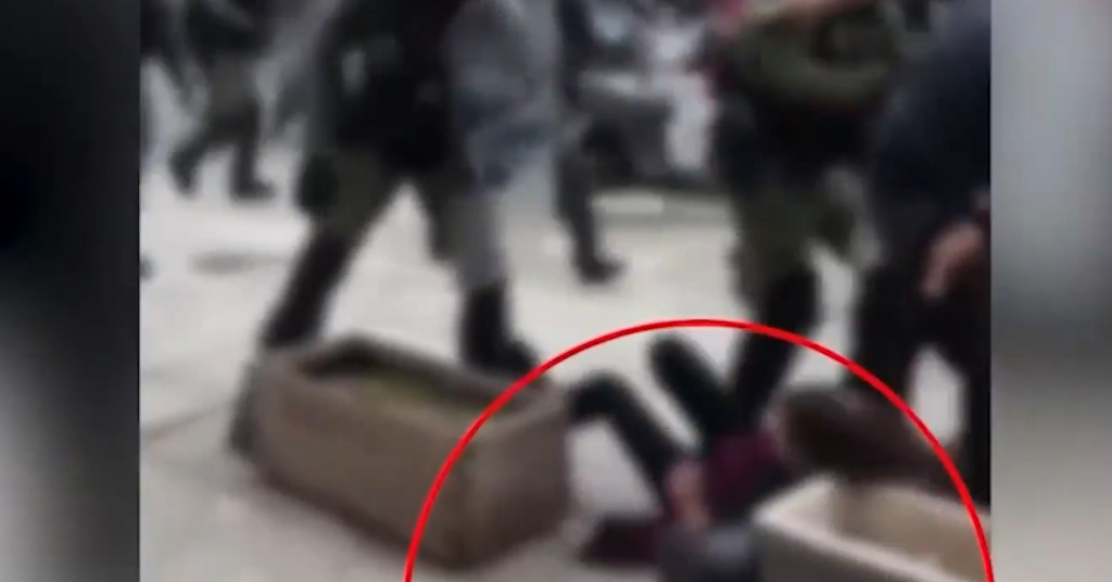 Βίντεο ντοκουμέντο: Άνδρας των ΜΑΤ κλωτσάει διαδηλώτρια – Πέφτει με το κεφάλι σε ζαρντινιέρα