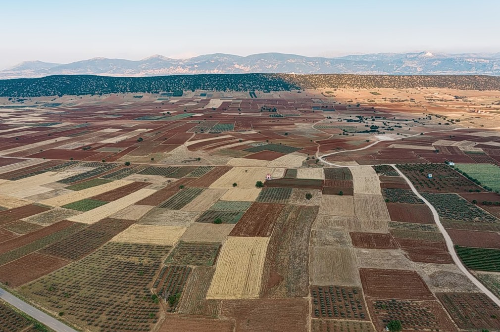 Αγροτεμάχια: Δυσκολία ανέγερσης αποθηκών - Αλλαγή νόμου