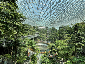 Changi Airport, το ομορφότερο αεροδρόμιο του κόσμου: Τροπικοί κήποι, κινηματογράφοι και ένας εντυπωσιακός καταρράκτης