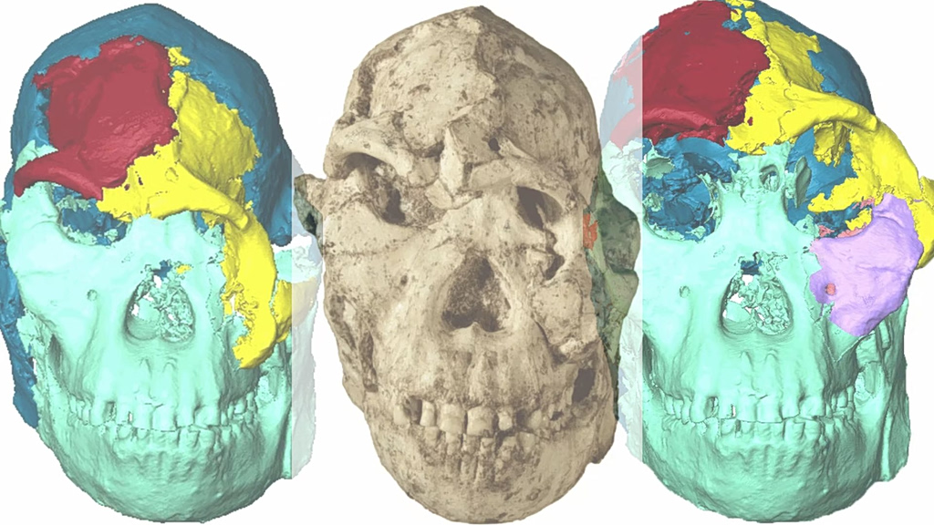 Πώς ήταν οι πρόγονοί μας πριν από 3 εκατομμύρια χρόνια; – Το ταξίδι του «Little Foot» και ο κόσμος του Αυστραλοπίθηκου
