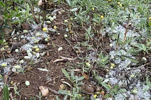 Καιρός: Έρχεται φθινόπωρο με χαλάζι και κεραυνούς – Ποια η πρόγνωση για την Αττική