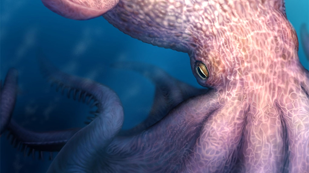 Ανακαλύφθηκε αρχαίο γιγαντιαίο χταπόδι, που μοιάζει με το μυθικό τέρας Κράκεν που καταβρόχθιζε πλοία (Video)