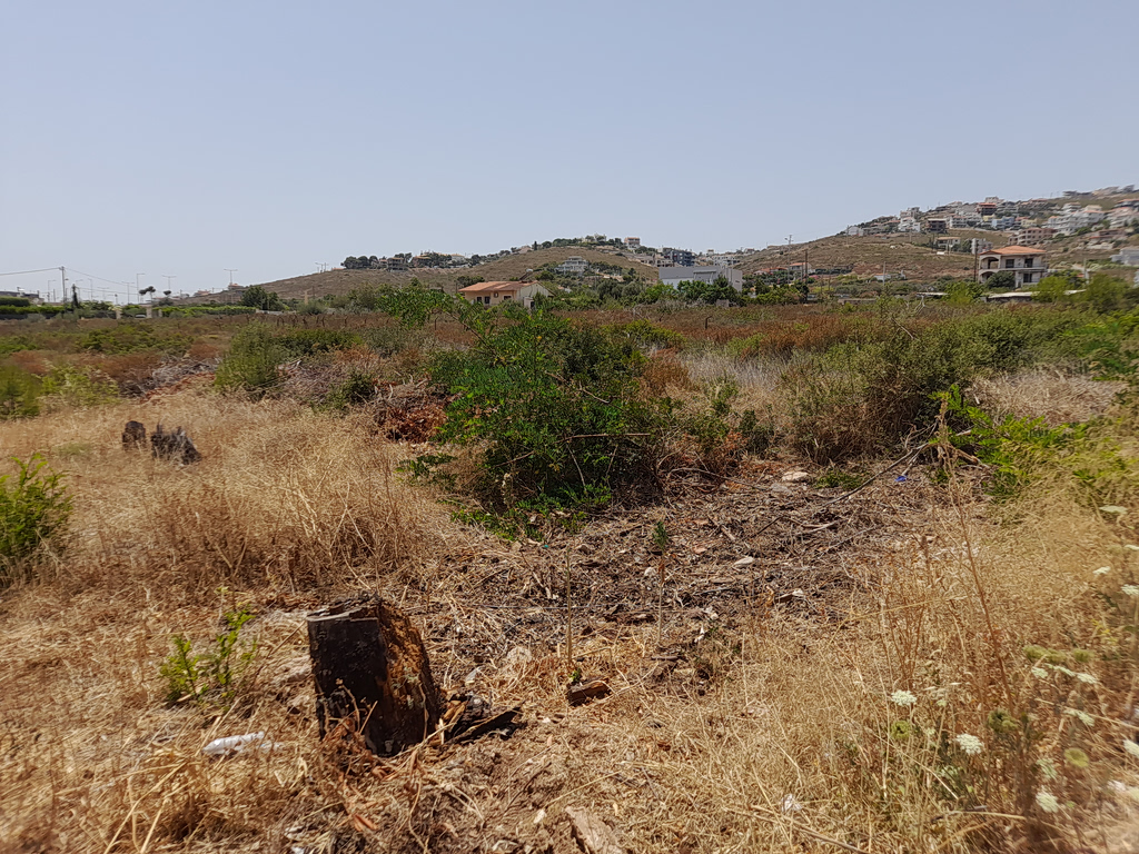 Ακαθάριστα οικόπεδα: Ποιοι υποχρεούνται να πάρουν… τσάπα για να μην πληρώσουν πρόστιμο