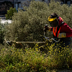 Δήμος Αθηναίων: Πότε λήγει η προθεσμία καθαρισμού οικοπέδων – Πρόστιμα έως 5.000 ευρώ