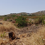 Ακαθάριστα οικόπεδα: Τι προβλέπει η νέα ΚΥΑ – Οι προθεσμίες, οι υποχρεώσεις και τα πρόστιμα