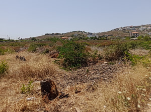 Ακαθάριστα οικόπεδα: Τι προβλέπει η νέα ΚΥΑ – Οι προθεσμίες, οι υποχρεώσεις και τα πρόστιμα