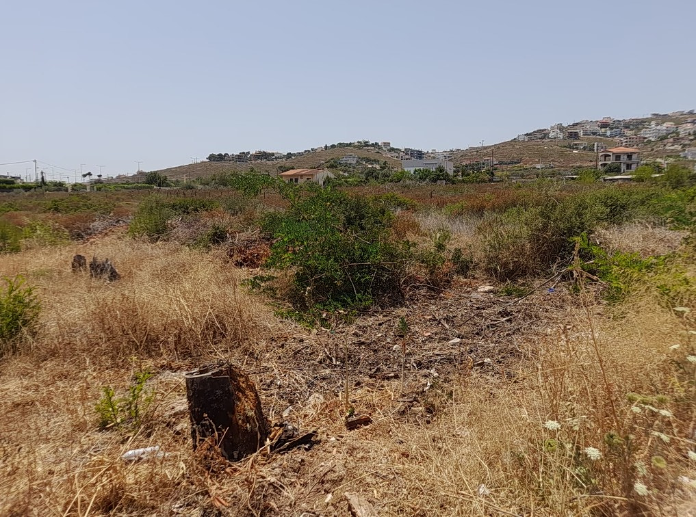 Ακαθάριστα οικόπεδα: Τι προβλέπει η νέα ΚΥΑ – Οι προθεσμίες, οι υποχρεώσεις και τα πρόστιμα