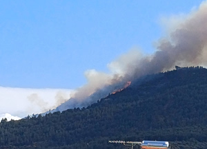 Μεγάλη φωτιά σε δάσος στην Ακράτα