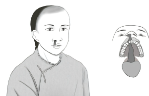 Τάφος της δυναστείας Qing αλλάζει τα δεδομένα: Η απρόσμενη ιστορία ενός νεαρού με σχιστία προσώπου