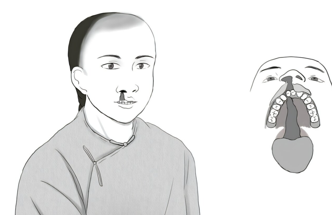 &Tau;ά&phi;&omicron;&sigmaf; &tau;&eta;&sigmaf; &delta;&upsilon;&nu;&alpha;&sigma;&tau;&epsilon;ί&alpha;&sigmaf; Qing &alpha;&lambda;&lambda;ά&zeta;&epsilon;&iota; &tau;&alpha; &delta;&epsilon;&delta;&omicron;&mu;έ&nu;&alpha;: &Eta; &alpha;&pi;&rho;ό&sigma;&mu;&epsilon;&nu;&eta; &iota;&sigma;&tau;&omicron;&rho;ί&alpha; &epsilon;&nu;ό&sigmaf; &nu;&epsilon;&alpha;&rho;&omicron;ύ &mu;&epsilon; &sigma;&chi;&iota;&sigma;&tau;ί&alpha; &pi;&rho;&omicron;&sigma;ώ&pi;&omicron;&upsilon;