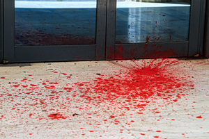 Επίθεση με μπογιές και βαριοπούλες στο Διοικητικό Εφετείο στη Λουίζης Ριανκούρ