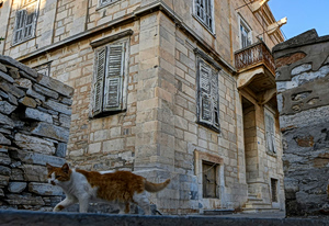 Ακίνητα: Έως 4.000 ευρώ το τετραγωνικό για να σωθεί ένα διατηρητέο – Κραυγή αγωνίας από τους ιδιοκτήτες