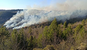 Φωτιά στις Καρυές Λακωνίας – Κινητοποίηση πυροσβεστικών δυνάμεων από τρεις νομούς