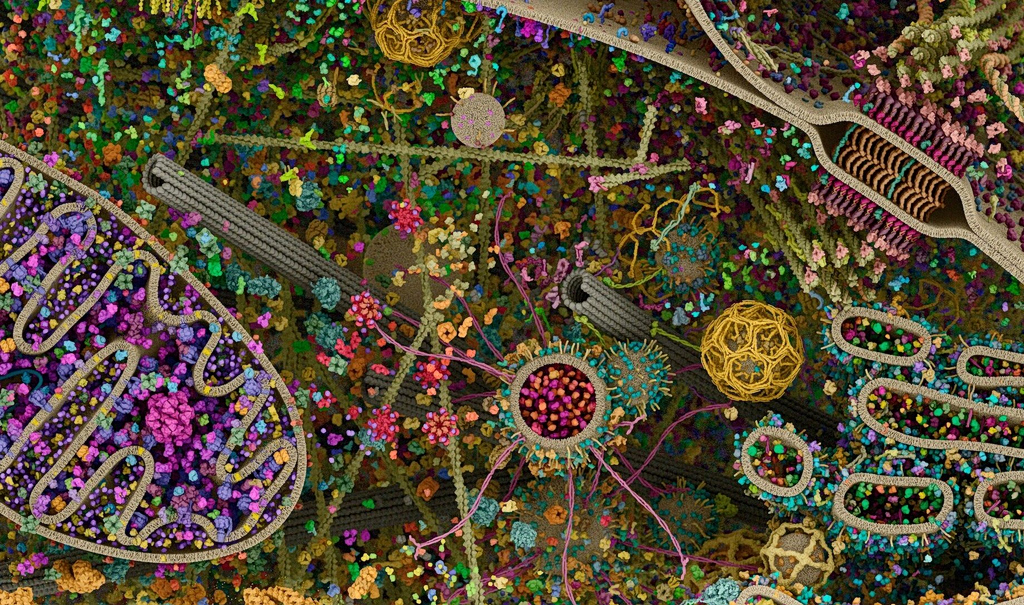 Κύτταρο με… θέα: Εκπληκτικής λεπτομέρειας βίντεο φέρνει επανάσταση στην Κυτταρική Βιολογία