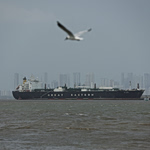 Τραμπ: Σχεδιάζουμε με το Ιράν «κοινή επιχείρηση» για τα Στενά του Ορμούζ – Reuters: Το θαλάσσιο πέρασμα θα ανοίξει έως την Παρασκευή