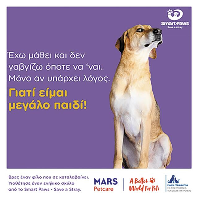 Καμπάνια για υιοθεσία 90 σκύλων από το πρώην «κολαστήριο» της Σπάρτης