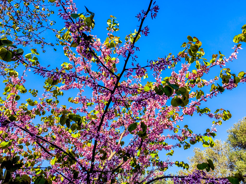 Καιρός: Αίθριος με τοπικές βροχές στα ορεινά – Έως τους 27 βαθμούς Κελσίου η θερμοκρασία