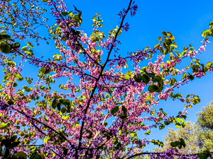 Καιρός: Αίθριος με τοπικές βροχές στα ορεινά – Έως τους 27 βαθμούς Κελσίου η θερμοκρασία