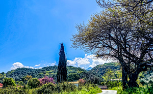 Καιρός: Άνοιξη την Τρίτη – Βροχές και πτώση θερμοκρασίας από την Τετάρτη