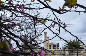 Καιρός: Μεγάλο Σάββατο με συννεφιά – Σε ποιες περιοχές αναμένονται βροχές