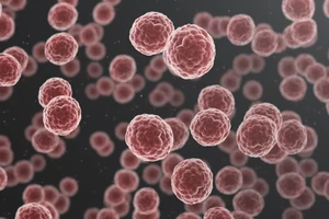 Η εργένικη ζωή βλάπτει σοβαρά την υγεία – Τι δείχνει νέα αποκαλυπτική έρευνα