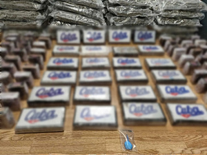 Κύκλωμα διακινούσε μεγάλες ποσότητες κοκαΐνης και κάνναβης στην Αττική – Στα 2,5 εκατ. ευρώ τα κέρδη του (video)