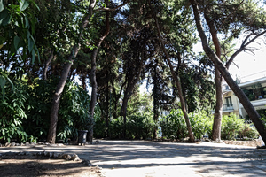 Ο Κολωνός αλλάζει φυσιογνωμία