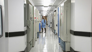 ΑΣΕΠ 1Κ/2026: Άνοιξαν 510 μόνιμες θέσεις στην Υγεία –  Μέχρι πότε η υποβολή δικαιολογητικών