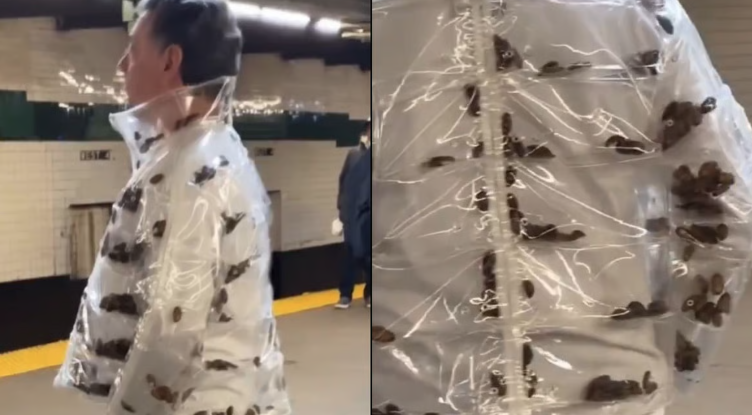 Σοκ στο μετρό της Νέας Υόρκης: Μπουφάν γεμάτο… ζωντανές κατσαρίδες (video)