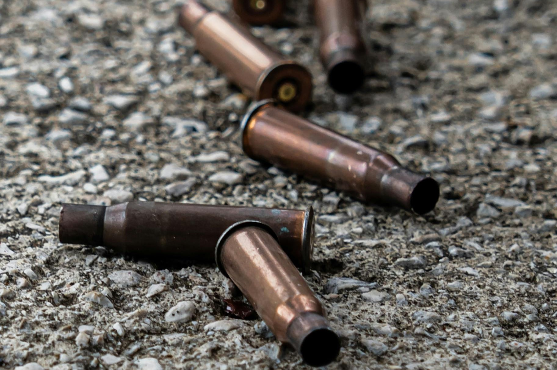 &Tau;&omicron; &mu;&upsilon;&sigma;&tau;&iota;&kappa;ό &omicron;&pi;&lambda;&omicron;&sigma;&tau;ά&sigma;&iota;&omicron; &tau;&eta;&sigmaf; &Beta;έ&rho;&mu;&alpha;&chi;&tau;: &Tau;&iota; έ&kappa;&rho;&upsilon;&beta;&alpha;&nu; &omicron;&iota; &Nu;&alpha;&zeta;ί &sigma;&tau;&omicron;&upsilon;&sigmaf; &lambda;ό&phi;&omicron;&upsilon;&sigmaf; &tau;&omega;&nu; &Kappa;&alpha;&rho;&pi;&alpha;&theta;ί&omega;&nu;