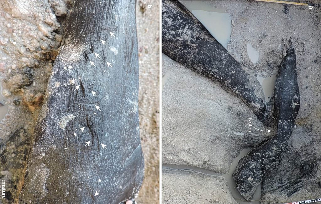 Έξυπνο είδος πριν τους Homo Sapiens; – Βρέθηκε ξύλινη κατασκευή 476.000 χρόνων