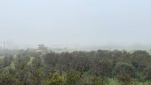 Σπάρτη: «Πνίγηκε» ο Ταΰγετος στην πυκνή ομίχλης