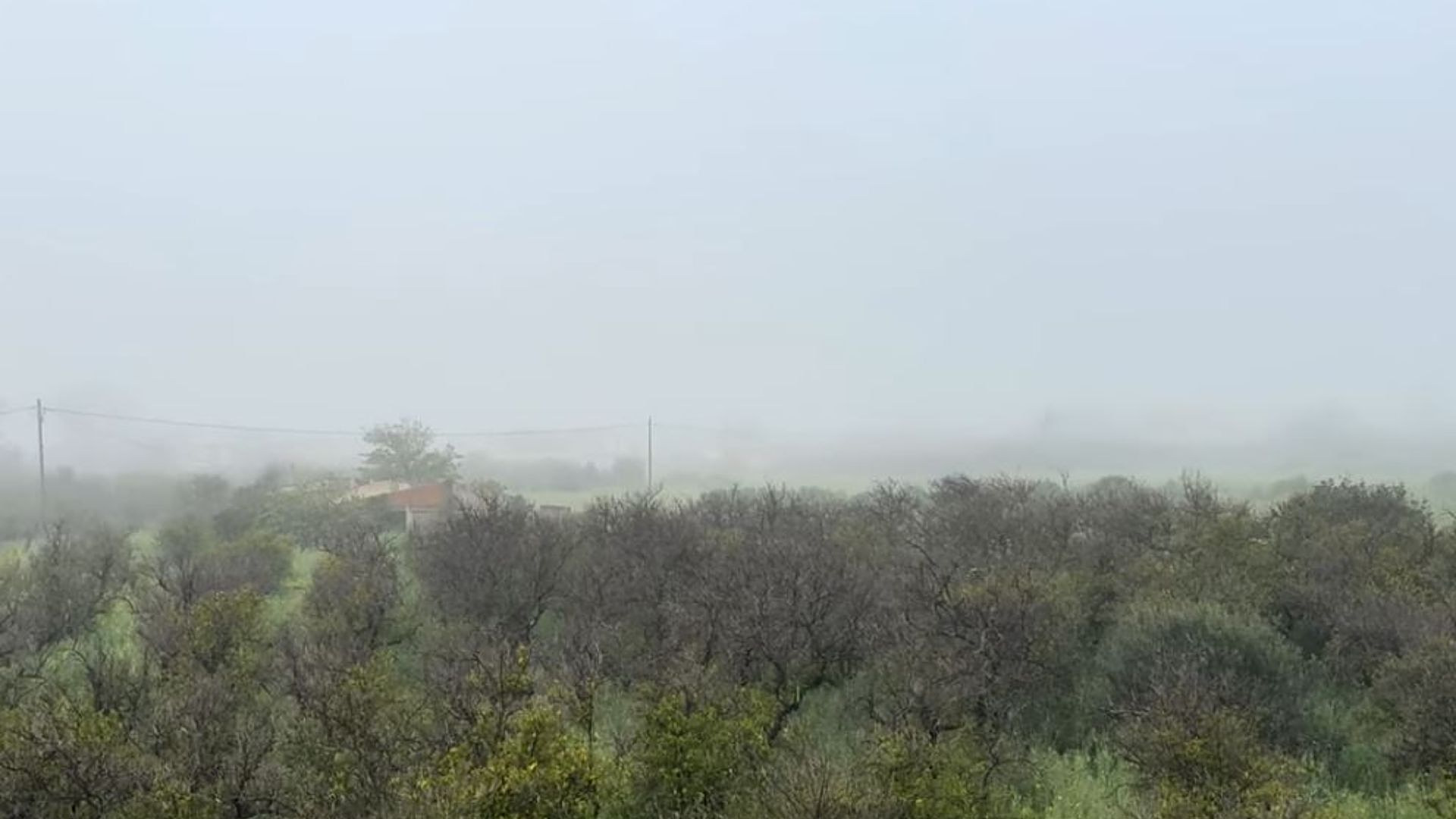 &Sigma;&pi;ά&rho;&tau;&eta;: &laquo;&Pi;&nu;ί&gamma;&eta;&kappa;&epsilon;&raquo; &omicron; &Tau;&alpha;ΰ&gamma;&epsilon;&tau;&omicron;&sigmaf; &sigma;&tau;&eta;&nu; &pi;&upsilon;&kappa;&nu;ή &omicron;&mu;ί&chi;&lambda;&eta;&sigmaf;