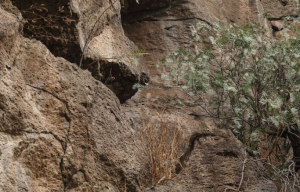 Ανακάλυψη-σοκ στο Μεξικό: 16 άγνωστες βραχογραφίες αποκαλύπτουν χαμένη ιστορία χιλιάδων ετών