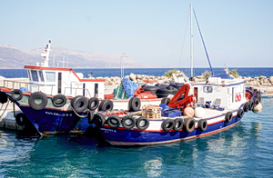Πού απαγορεύεται το ψάρεμα; Δείτε το με ένα κλικ στον νέο ψηφιακό χάρτη