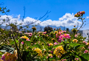 Meteo: Υψηλές θερμοκρασίες τη Δευτέρα του Πάσχα – Πού έδειξε 27°C ο υδράργυρος