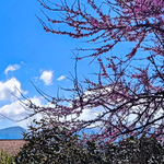 Καιρός: «Θολό» το σκηνικό για την Πρωτομαγιά – Οι λεπτομέρειες που θα κρίνουν τι θα γίνει