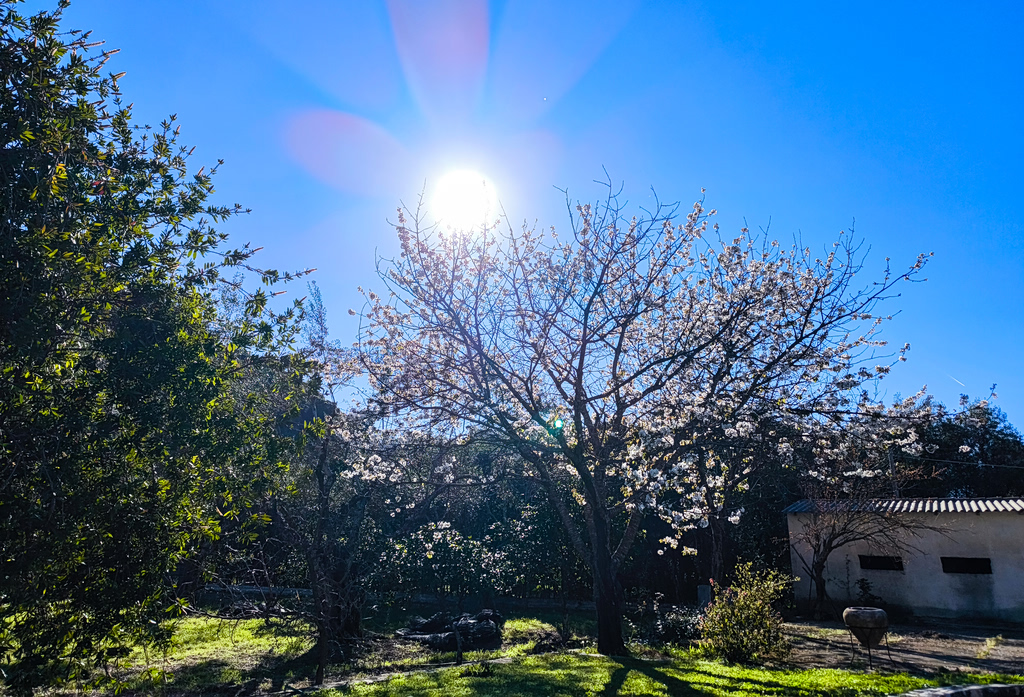 Καιρός: Άνοδος θερμοκρασίας μετά τις 8 Μαΐου, ψυχρή εισβολή