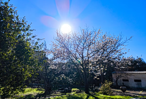 Κολυδάς: Μετά την κακοκαιρία, εντυπωσιακή άνοδος θερμοκρασίας – Ποιες περιοχές «παγώνουν» την Πρωτομαγιά