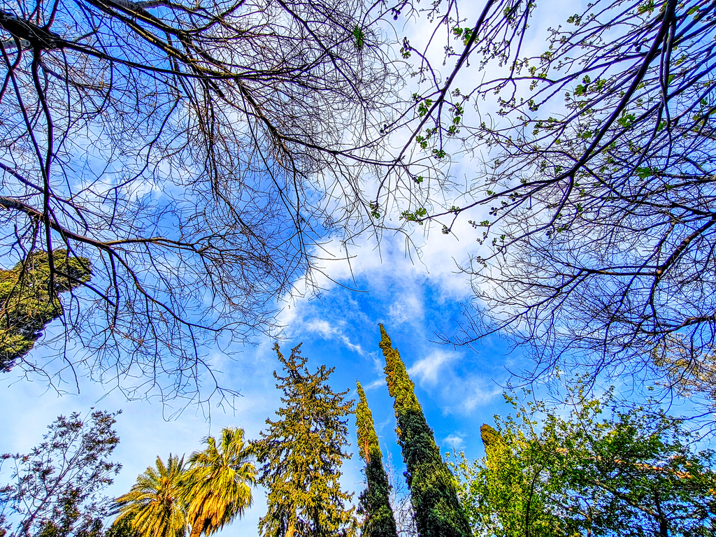 Καιρός: Ήπια άστατος το Σαββατοκύριακο – Ανοιξιάτικο σκηνικό έως τα μέσα της Μεγάλης Εβδομάδας