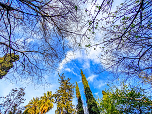 Καιρός: Ήπια άστατος το Σαββατοκύριακο – Ανοιξιάτικο σκηνικό έως τα μέσα της Μεγάλης Εβδομάδας
