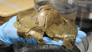 Χρυσή σφαίρα στα βάθη του ωκεανού είχε σοκάρει τους επιστήμονες – Τώρα ξέρουν από πού προήλθε