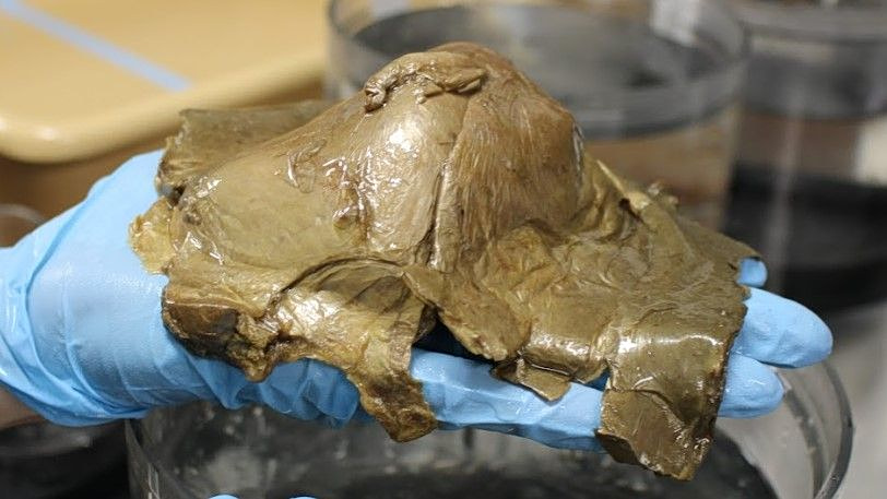 Χρυσή σφαίρα στα βάθη του ωκεανού είχε σοκάρει τους επιστήμονες – Τώρα ξέρουν από πού προήλθε