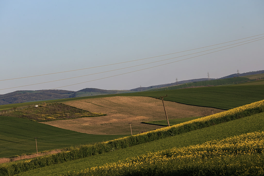 Οδικός χάρτης για τα αγροτικά οικόπεδα – Πώς θα χτίσετε κτίσµα σε χώρο µικρότερο από τέσσερα στρέµµατα
