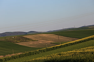 Οδικός χάρτης για τα αγροτικά οικόπεδα