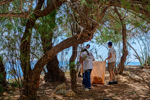 Μεγάλη συμμετοχή στον καθαρισμό Ακτής Κανελλοπούλου και  παραλίας Φρεαττύδας