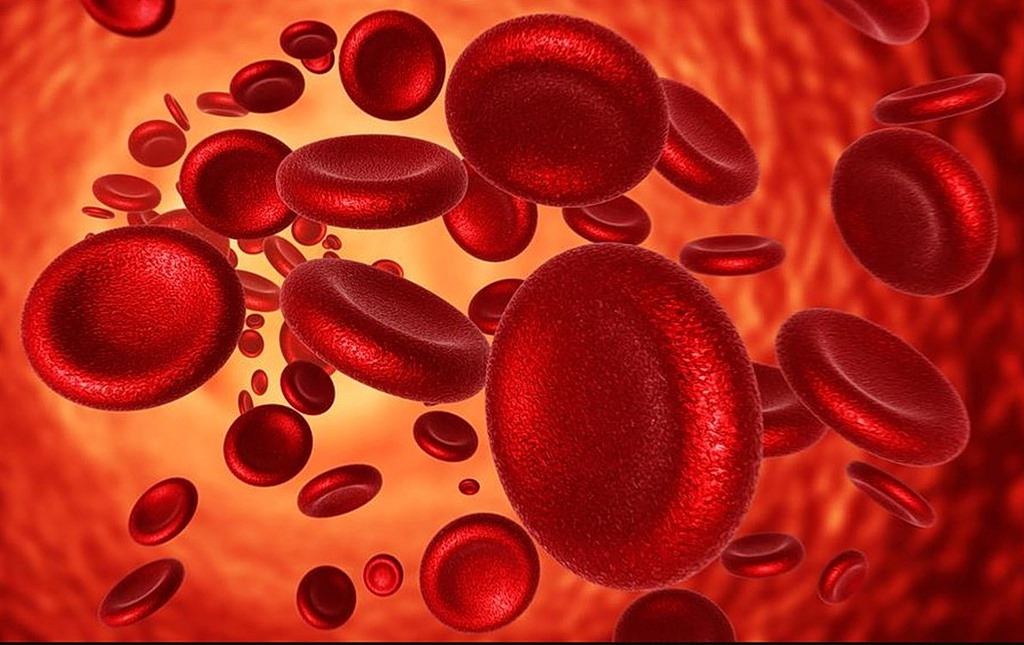 Επανάσταση στην ιατρική: Η τεχνική «click clotting» σταματά την αιμορραγία σε δευτερόλεπτα